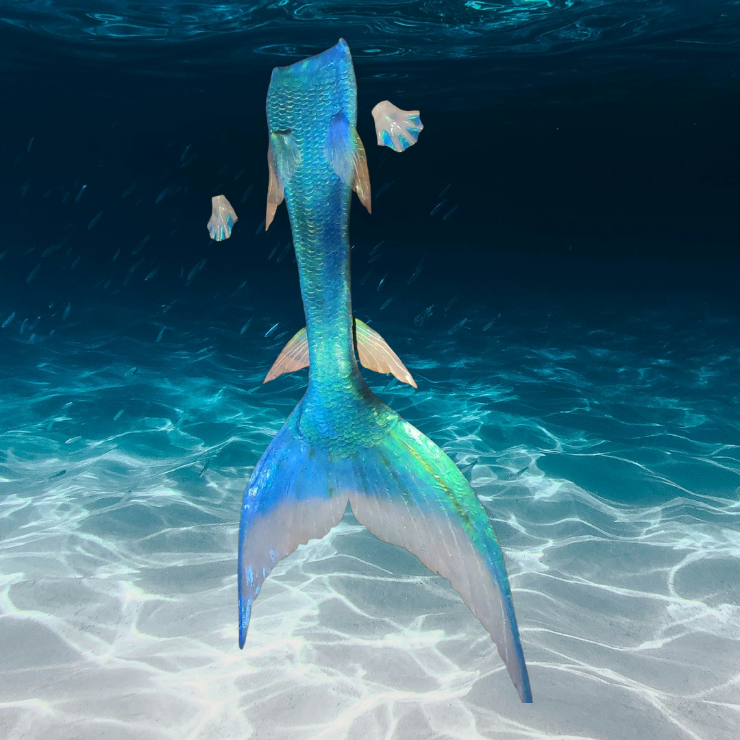 Queue de sirène silicone