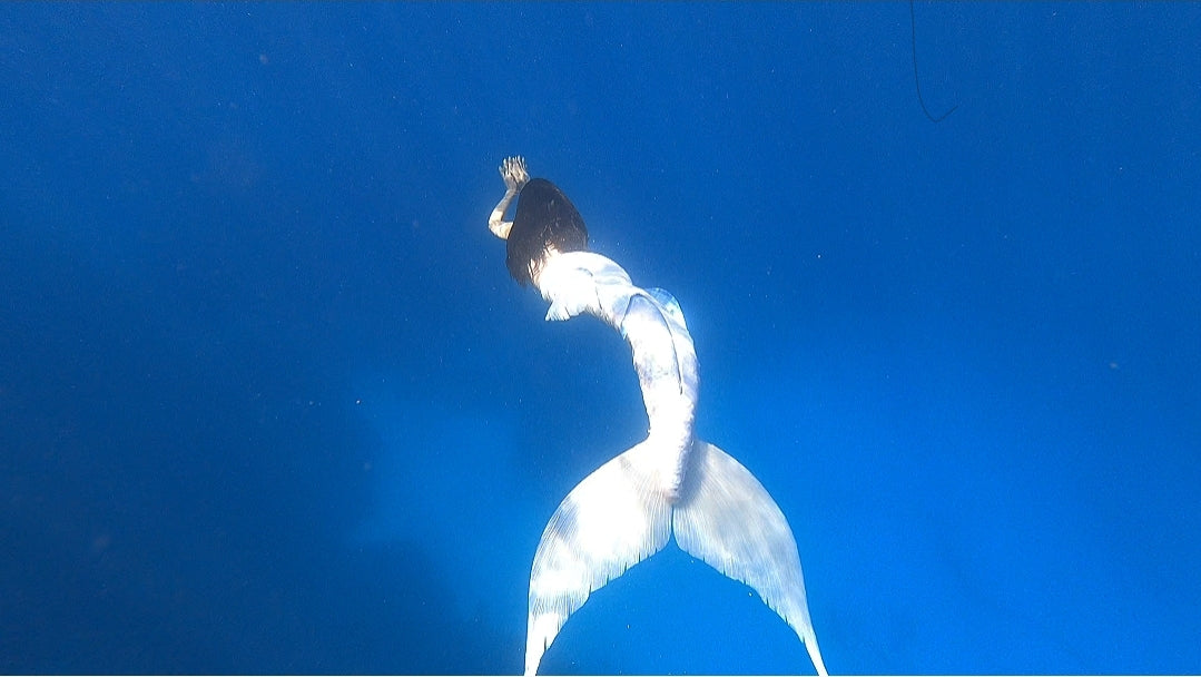 Longfish/Extended tail