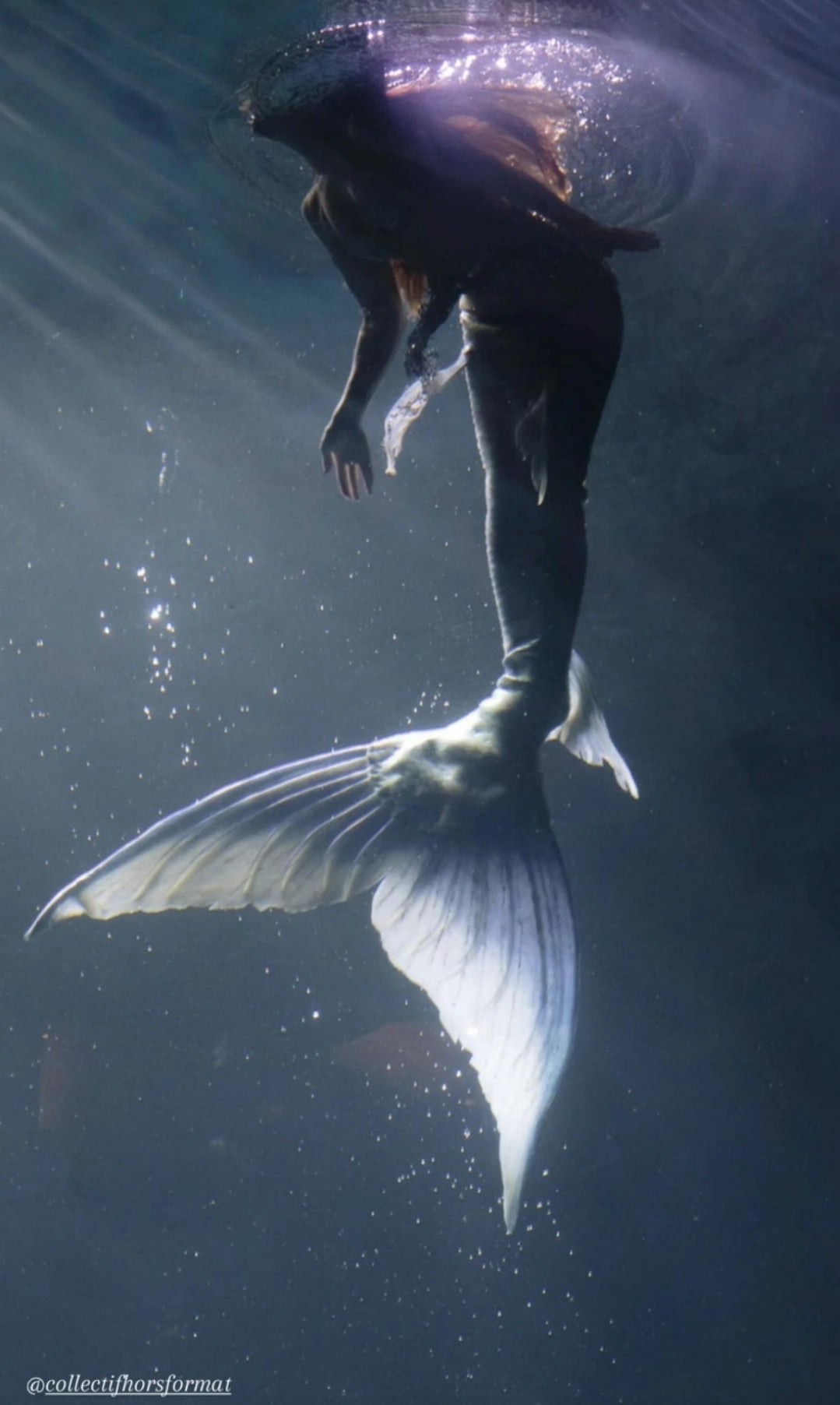 Queue de sirène silicone