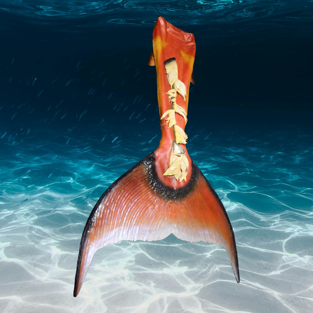 Queue de sirène silicone