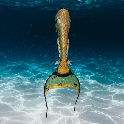 Queue de sirène silicone