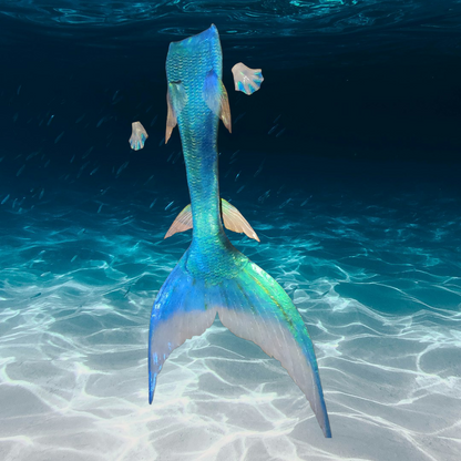 Queue de sirène silicone