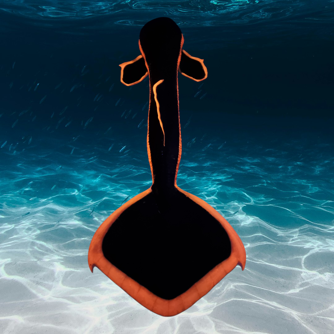 Queue de sirène silicone "Longfish/Extended tail"