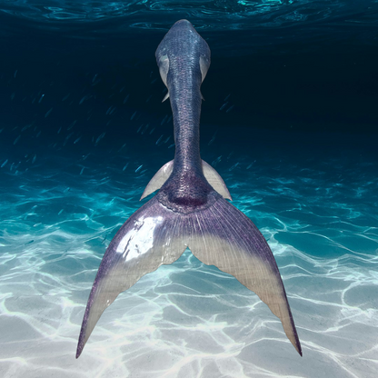 Queue de sirène silicone