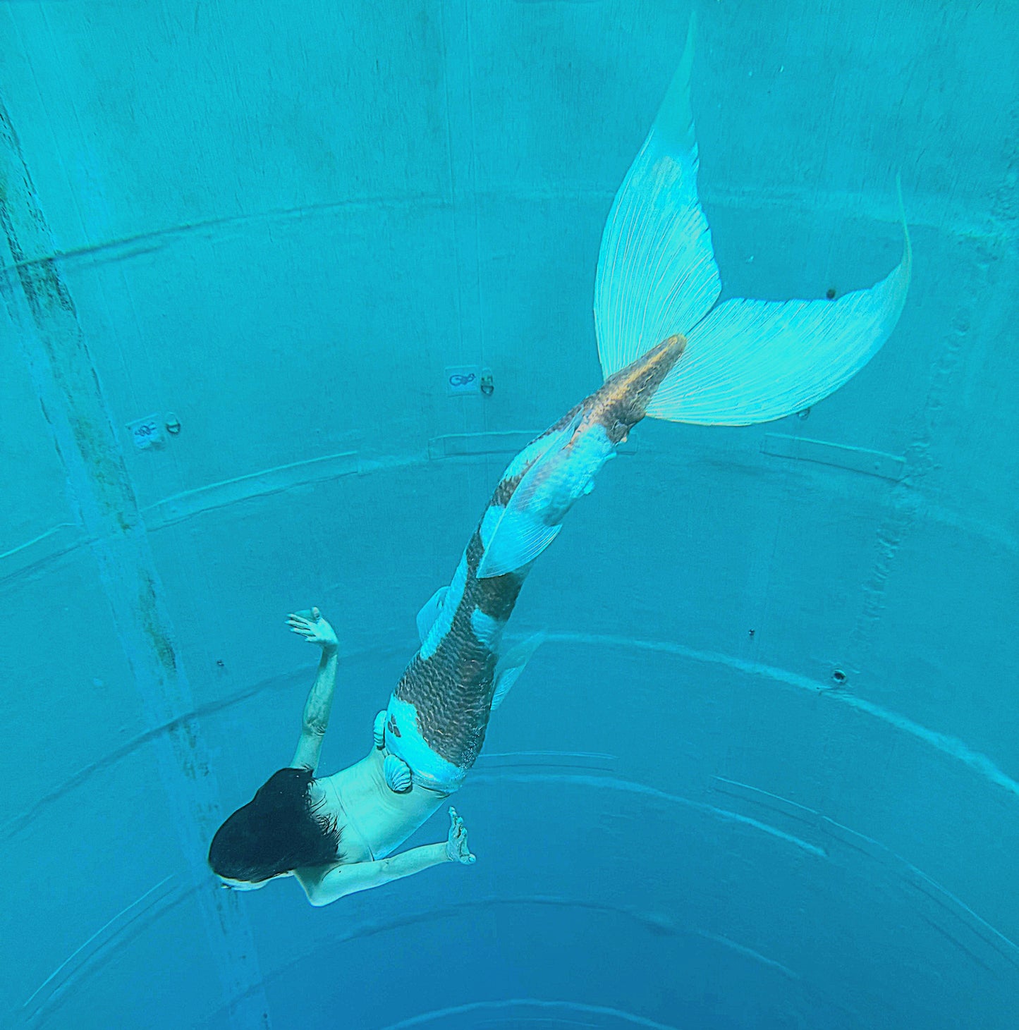 Queue de sirène silicone "Longfish/Extended tail"