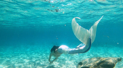 Queue de sirène silicone "Longfish/Extended tail"