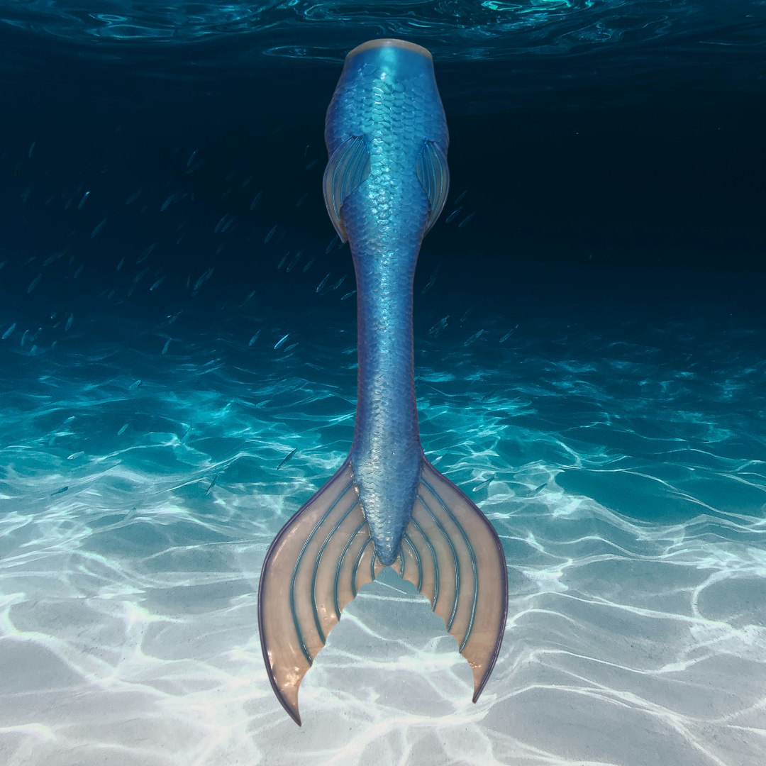 Queue de sirène silicone "Pieds invisibles"