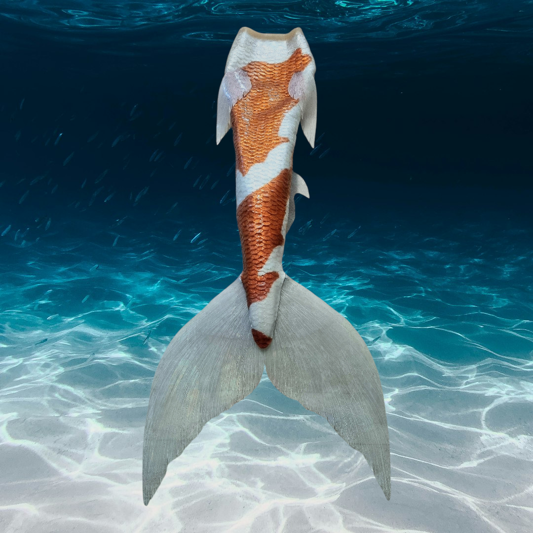 Queue de sirène silicone "Longfish/Extended tail"
