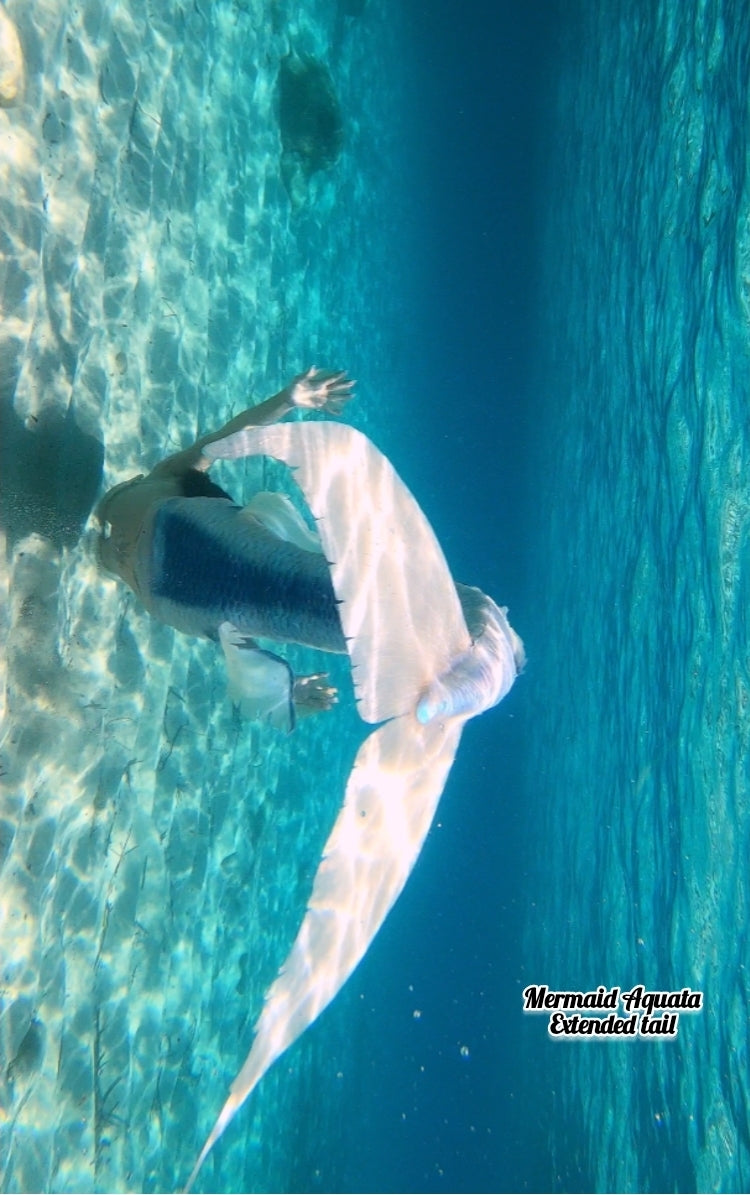 Queue de sirène silicone "Longfish/Extended tail"