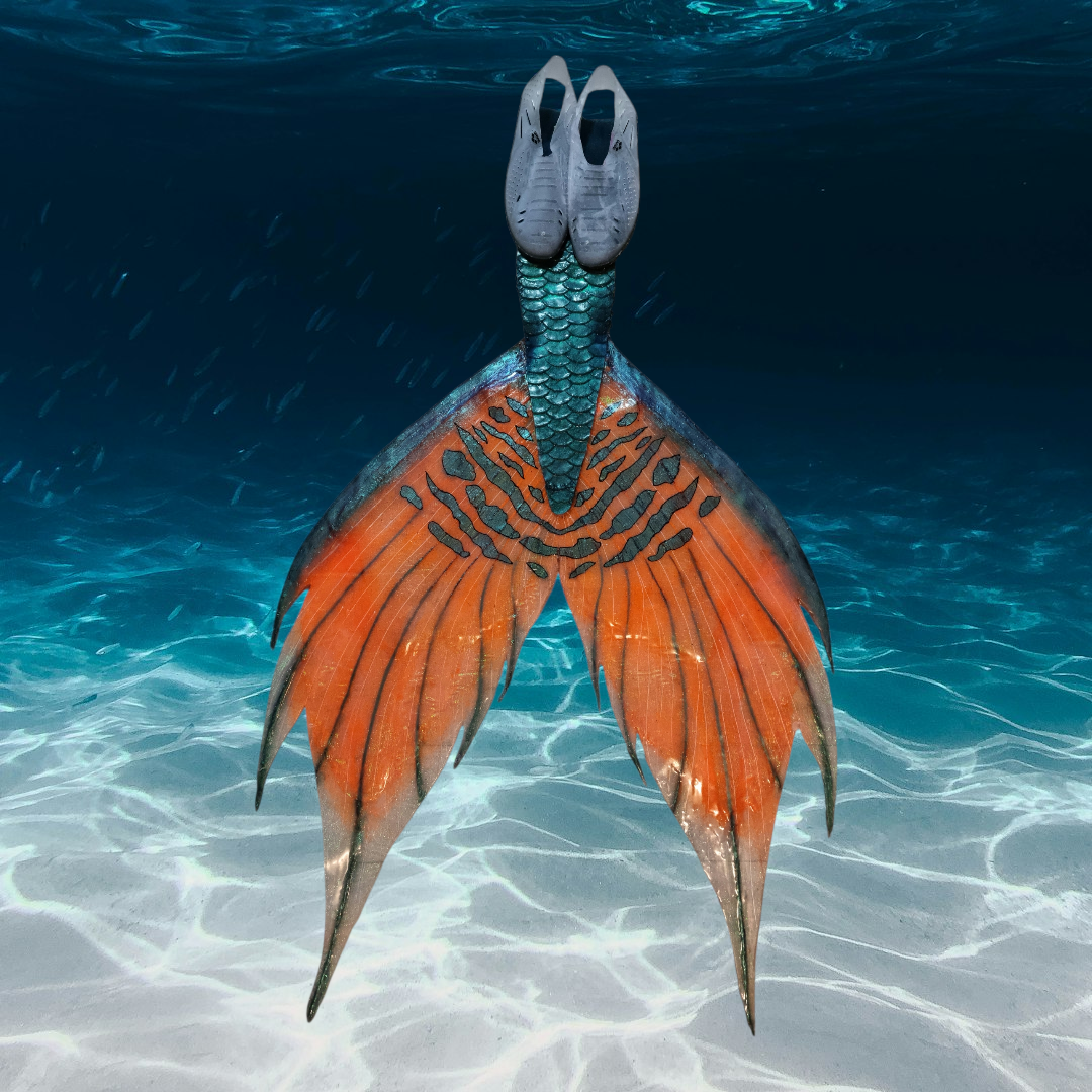 Monopalme à Extension sirène