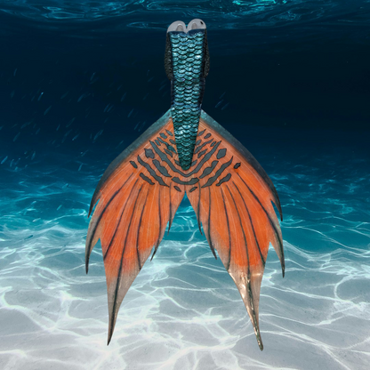 Monopalme à Extension sirène