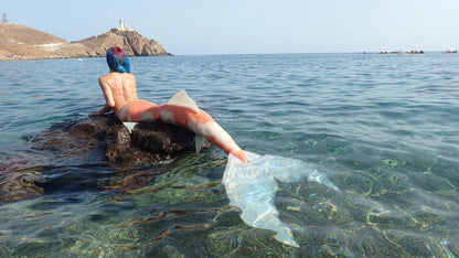 Queue de sirène silicone "Longfish/Extended tail"